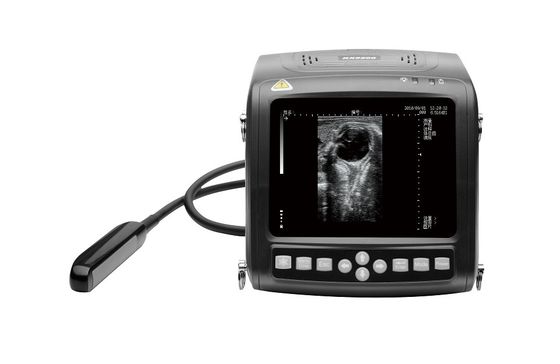 Αγορά 5.7» LCD επίδειξης φορητή μηχανή 1.1KG υπερήχου ζωικού κεφαλαίου κτηνιατρική online manufacture