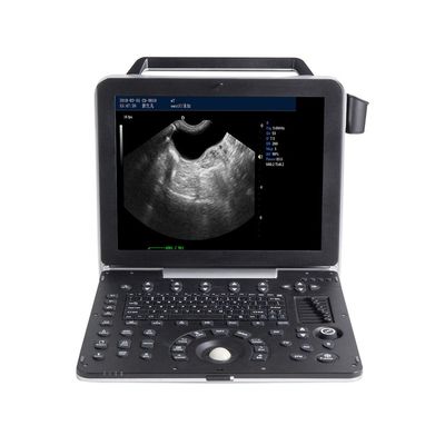 Αγορά 15» LCD φορητή κτηνιατρική υπερήχου απεικόνιση κλίμακας μηχανών 2$α γκρίζα online manufacture